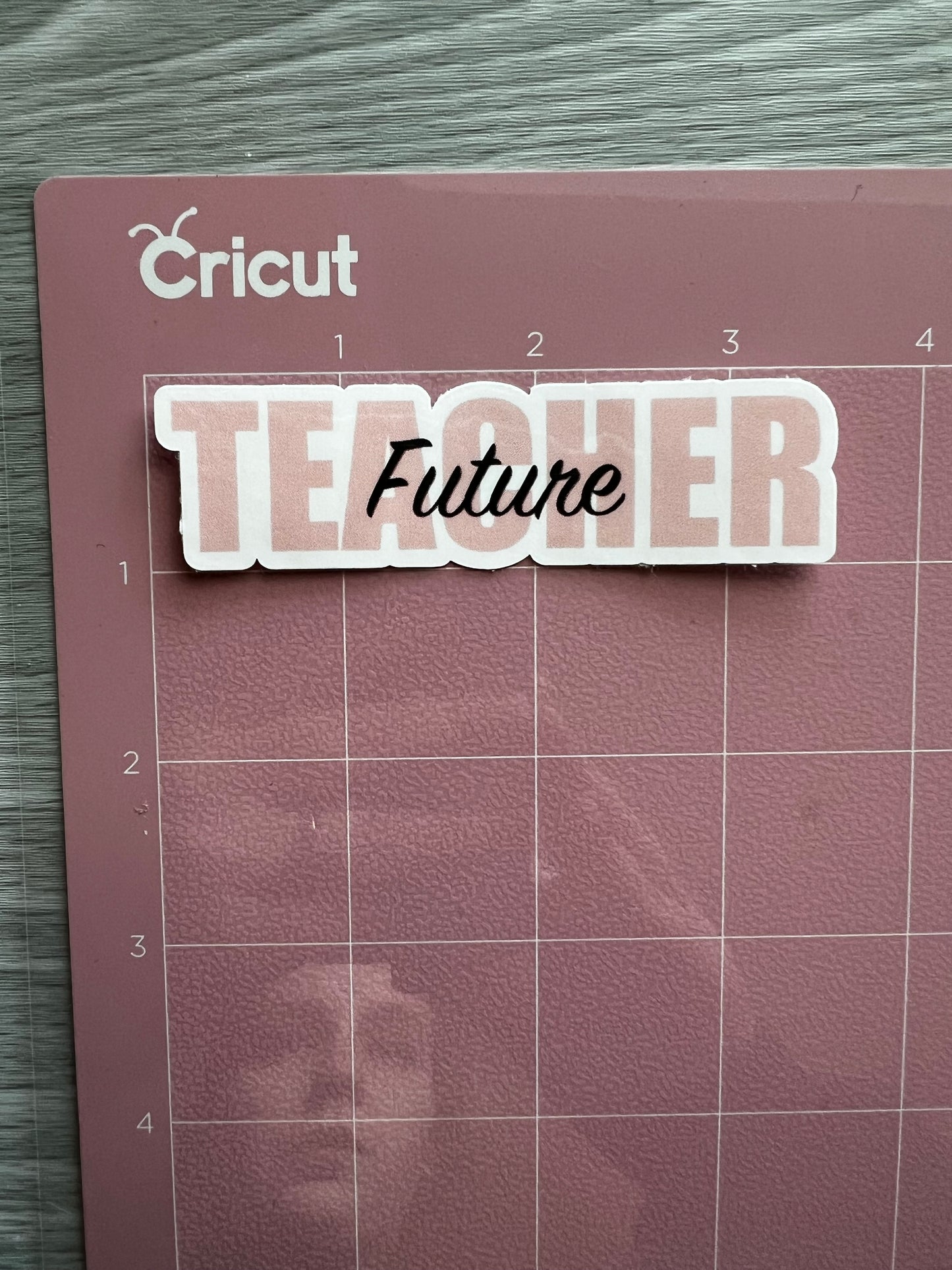 Future Teacher Sticker